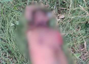 'Jack' é encontrado com sinais de tortura no interior do Amazonas; VEJA