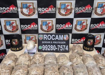 Laboratório de drogas é encontrado na Zona Norte