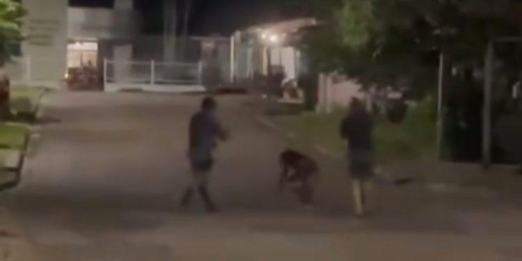 Briga acaba em morte e tudo foi filmado. Veja o vídeo