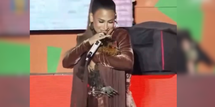 Fofura! Simone Mendes ganha galinha viva em show