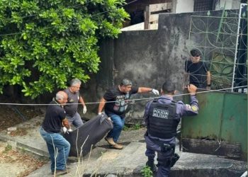 idoso 66 anos morre após cair de árvore