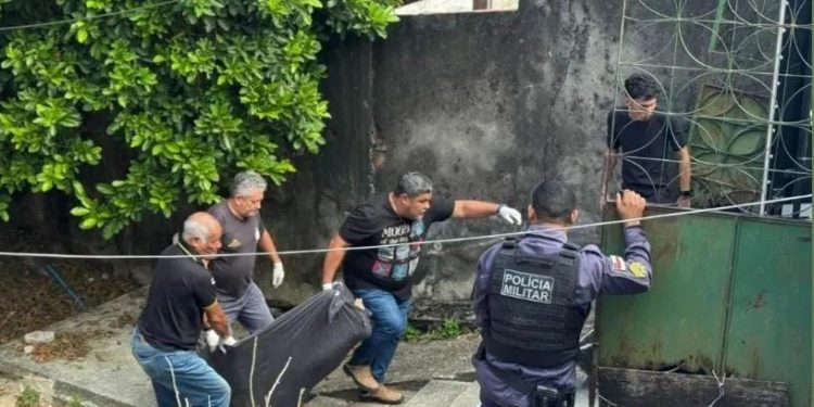 idoso 66 anos morre após cair de árvore