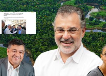 A CAFETINAGEM DA FLORESTA