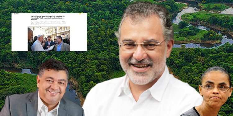 A CAFETINAGEM DA FLORESTA