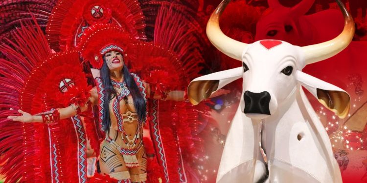 GARANTIDO CAMPEÃO! Confusão e revolta na apuração das notas do Festival