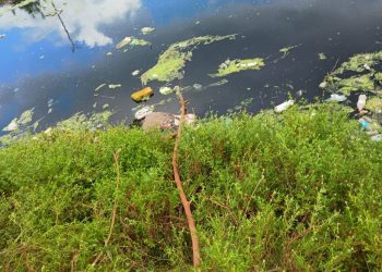 Vídeo forte! Cadáver é encontrado em igarapé