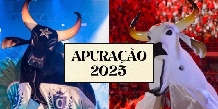 Apuração do Festival de Parintins é nesta segunda-feira (30)