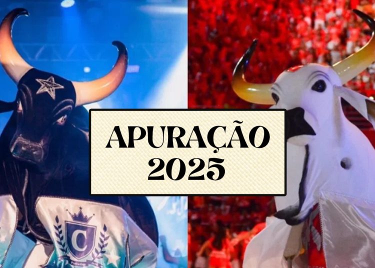 Apuração do Festival de Parintins é nesta segunda-feira (30)