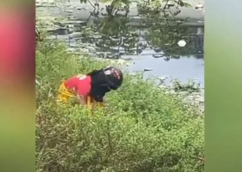 Corpo em decomposição é encontrado às margens de Igarapé no centro