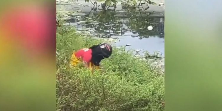 Corpo em decomposição é encontrado às margens de Igarapé no centro