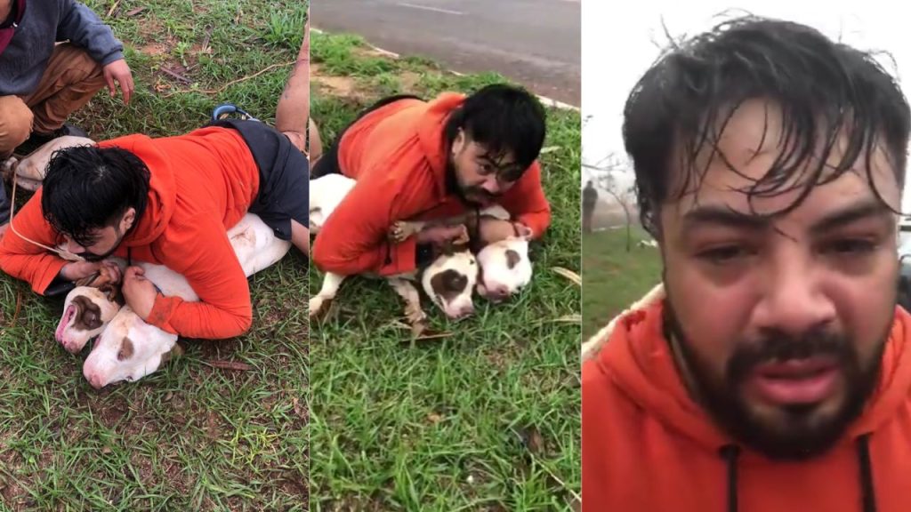 Professor de Muay Tay usa técnica de defesa e evita ataque de pitbulls