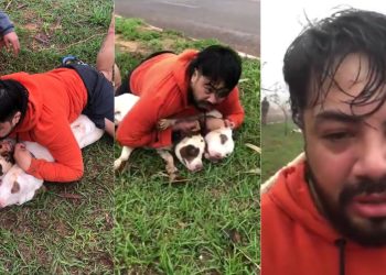 Professor de Muay Tay usa técnica de defesa e evita ataque de pitbulls