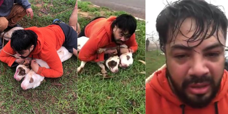 Professor de Muay Tay usa técnica de defesa e evita ataque de pitbulls