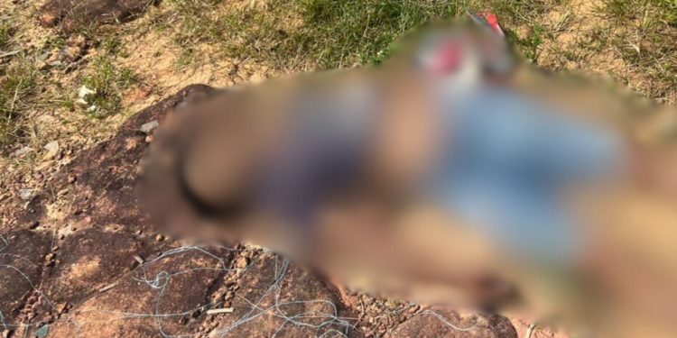 Veja: Ao sair para trabalhar, pedreiro de 65 anos é achado morto próximo do Porto do Raimundo