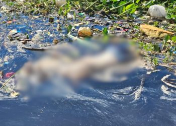 Boiando no rio, corpo de homem é achado sendo comido por peixes em Manaus; VEJA O VÍDEO