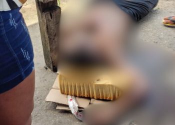 Justiceiro acerta homem que estava supostamente roubando no Parque Riachuelo