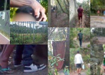 denúncia expõe homens que ficam 'pimbando' diariamente em terreno na Ponta Negra