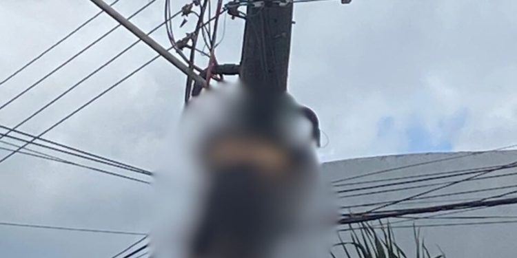 Vídeo: Durante serviço em poste, homem morre eletrocutado dentro de condomínio no Tarumã