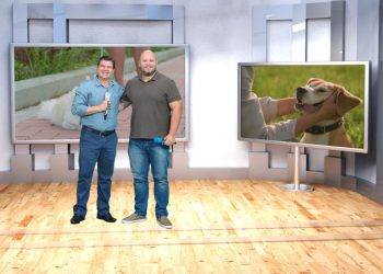 No Pet é Família, cuidados com pets, ONG inspiradora e dicas especiais para quem ama animais