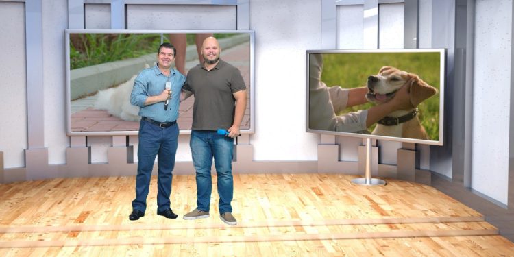 No Pet é Família, cuidados com pets, ONG inspiradora e dicas especiais para quem ama animais