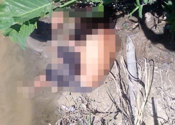 Vídeo forte – Cadáver é encontrado em igarapé com ferimentos na cabeça