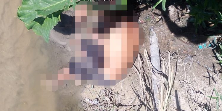 Vídeo forte – Cadáver é encontrado em igarapé com ferimentos na cabeça