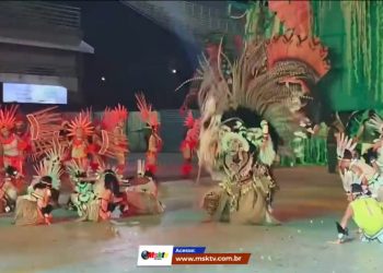 Apresentação dos Bois de Manaus 2025.