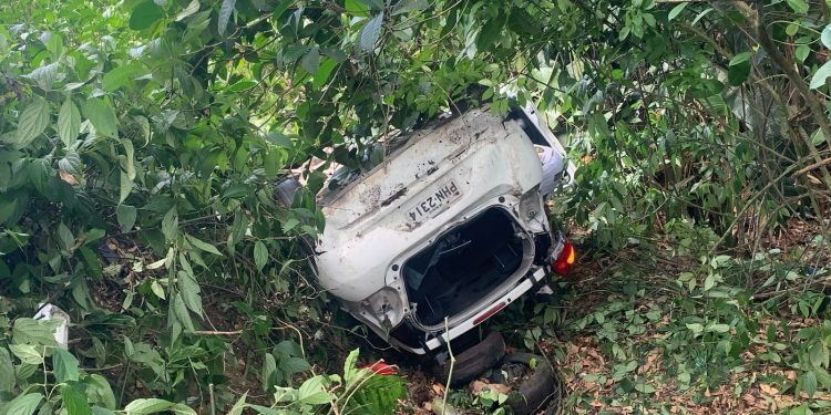 Despencou em área de mata; motorista teve prejuízo
