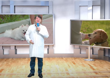 Pet é Família | Porque amor se ensina e curiosidade se descobre!