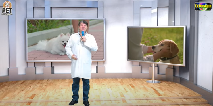 Pet é Família | Porque amor se ensina e curiosidade se descobre!