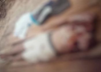 Onça-pintada mata indígena no meio do mato no interior do Amazonas