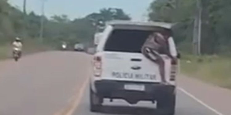 Vídeo mostra idosa tentando fugir do camburão de viatura da PM em Iranduba