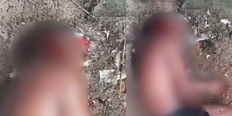 'Ninja' chora após ter o braço quebrado e ter a cabeça baleada no tribunal do crime no AM