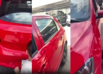 Cachorro é flagrado chorando preso no porta-malas e revolta moradores em Manaus