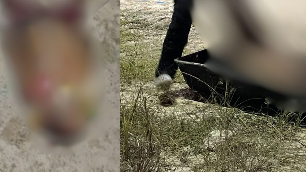 Com mais de 10 tiros, homem é achado morto após ser torturado em Manaus