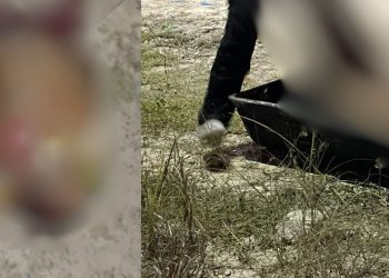 Com mais de 10 tiros, homem é achado morto após ser torturado em Manaus