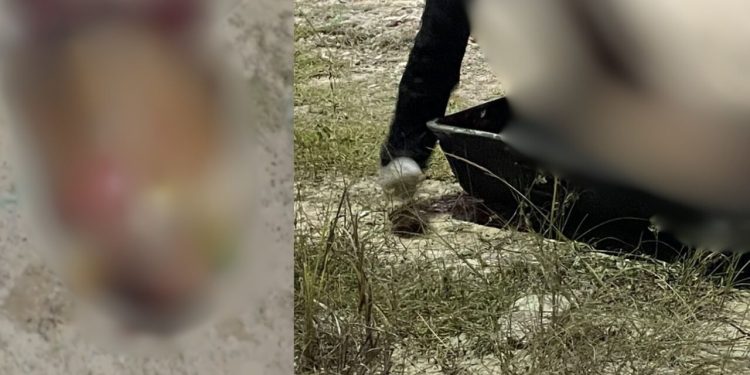 Com mais de 10 tiros, homem é achado morto após ser torturado em Manaus