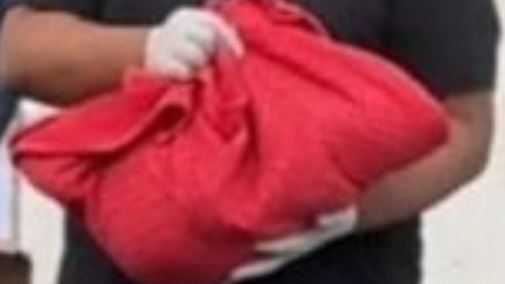 Polícia investiga morte de bebê de 2 meses que dormia ao lado da mãe em Manaus