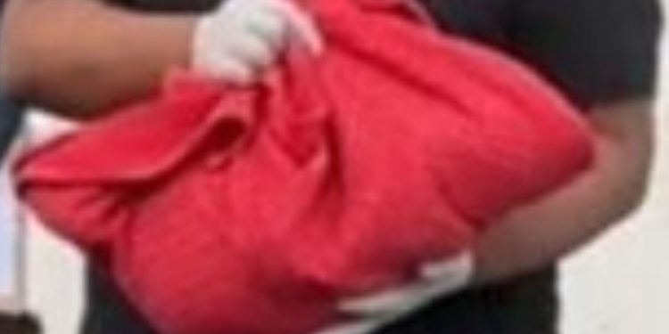 Polícia investiga morte de bebê de 2 meses que dormia ao lado da mãe em Manaus