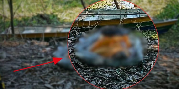 Encontrado morto no Lago do Aleixo; família informou que ele era alcoólatra