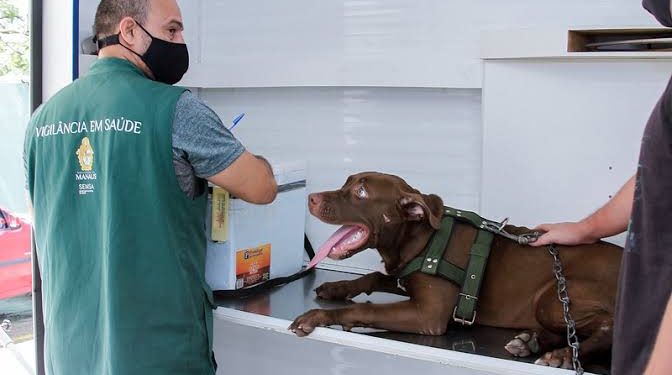 Mutirão de castração gratuita e vacinação antirrábica no Santa Etelvina