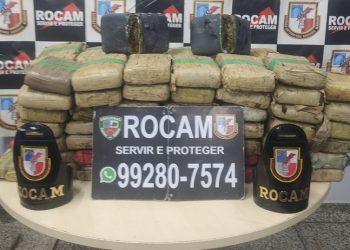 Para a tristeza dos maconheiros! 100 tabletes de skunk apreendidos