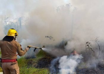 Aumento de Incêndios Urbanos Mobiliza Bombeiros no Am