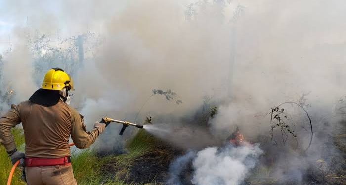 Aumento de Incêndios Urbanos Mobiliza Bombeiros no Am