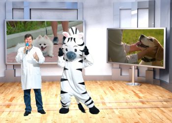 Proteção e conscientização sobre animais no Pet é Família