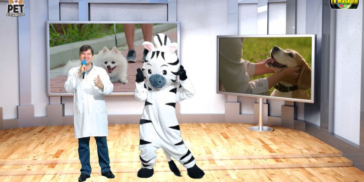 Proteção e conscientização sobre animais no Pet é Família