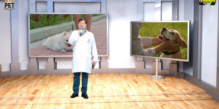 Pet é Família: A Voz dos Inocentes