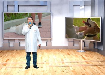 Hoje tem Cãoversa, denúncia de maus-tratos e história inspiradora de um abrigo que transforma vidas