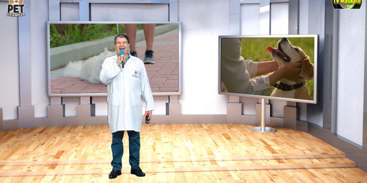 Hoje tem Cãoversa, denúncia de maus-tratos e história inspiradora de um abrigo que transforma vidas