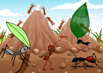 Teatrinho Infantil: Como as formigas conseguem carregar coisas muito maiores do que elas?